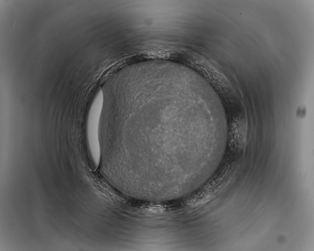 X0000099420600200805301409