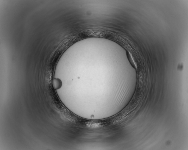 X0000099420602200805301409