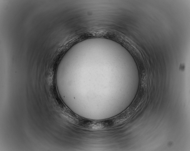 X0000099420604200805301409