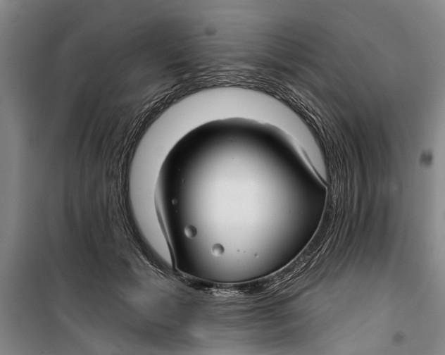 X0000099420605200805301409