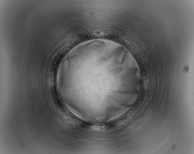 X0000099420606200805301409