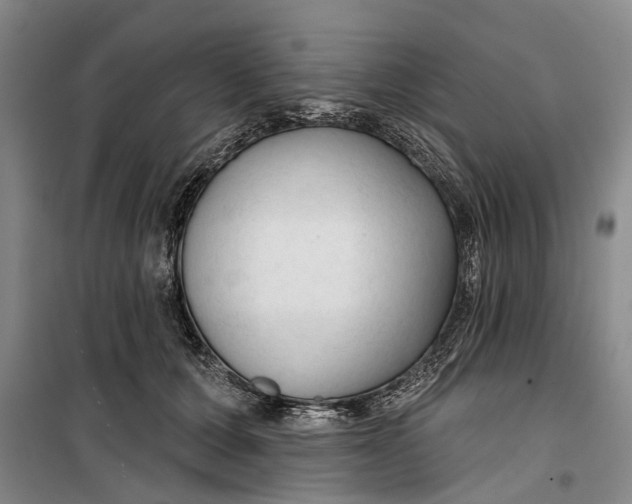 X0000099420607200805301409