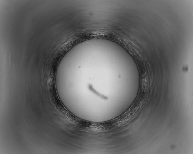 X0000099420608200805301409