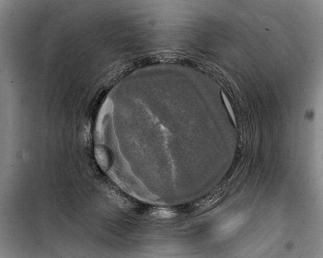 X0000099420610200805301409