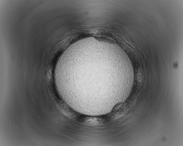 X0000099420611200805301409