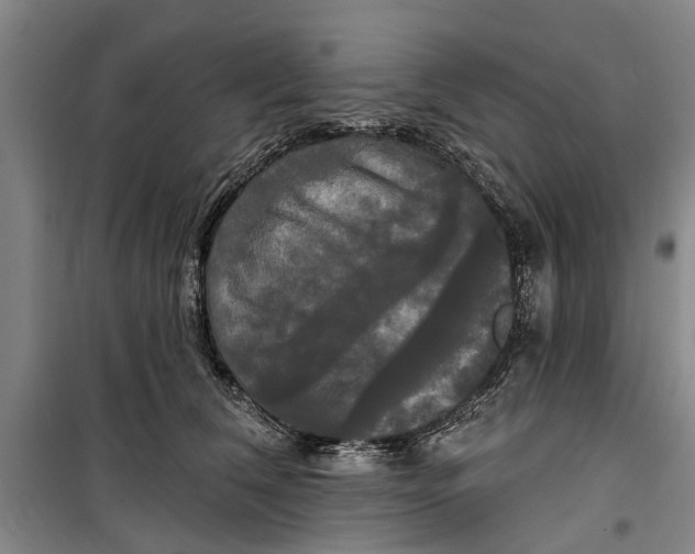 X0000099420612200805301409