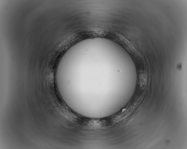 X0000099420613200805301409