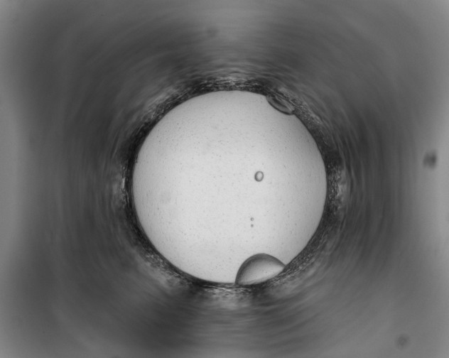 X0000099420615200805301409