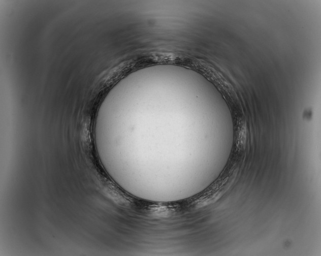 X0000099420616200805301409