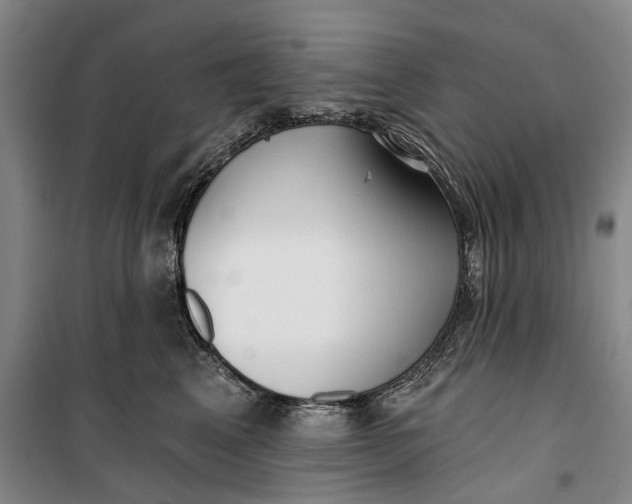 X0000099420617200805301409