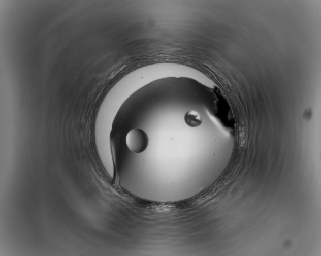 X0000099420618200805301409