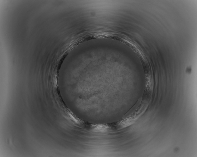 X0000099420621200805301409