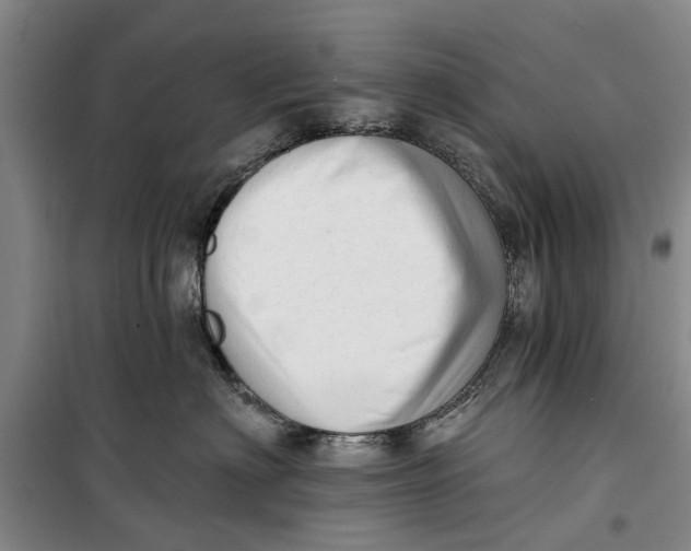 X0000099420622200805301408