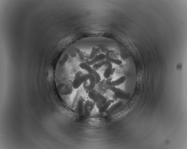 X0000099420623200805301408