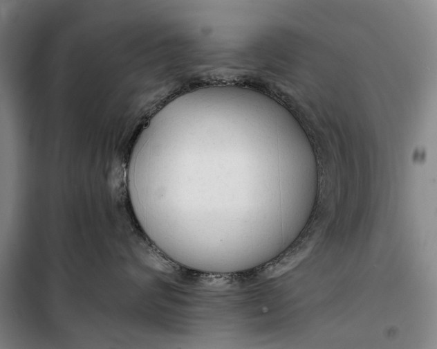 X0000099420624200805301408