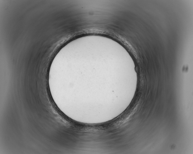 X0000099420625200805301408