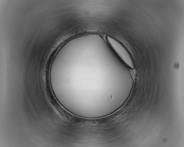 X0000099420626200805301408