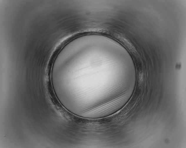 X0000099420628200805301408