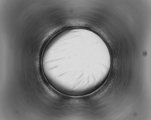 X0000099420629200805301408