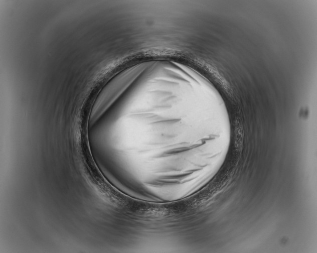 X0000099420631200805301408