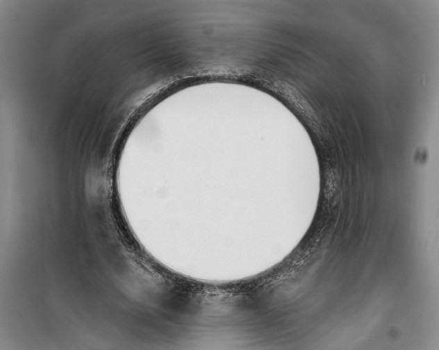 X0000099420632200805301408