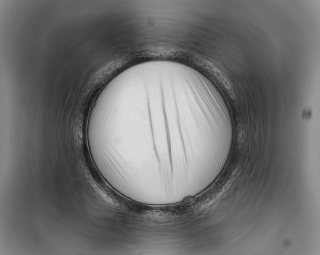 X0000099420633200805301408