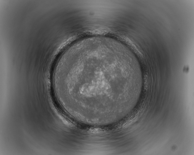 X0000099420634200805301408