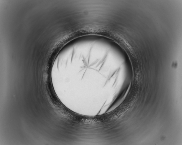 X0000099420635200805301408