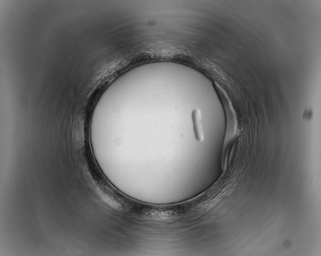 X0000099420638200805301408