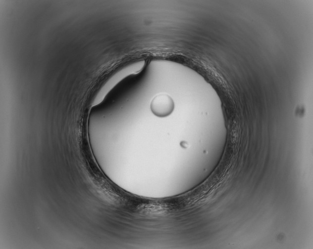 X0000099420639200805301408