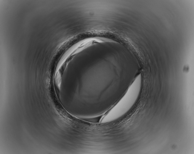 X0000099420640200805301408