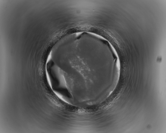 X0000099420641200805301408