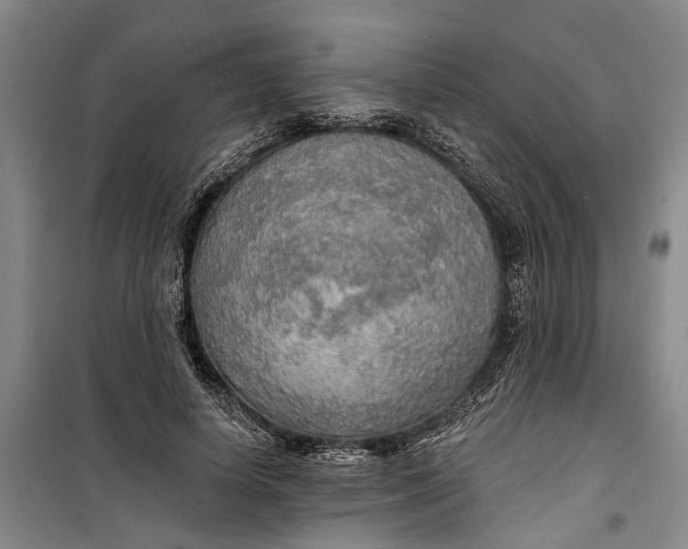 X0000099420642200805301408