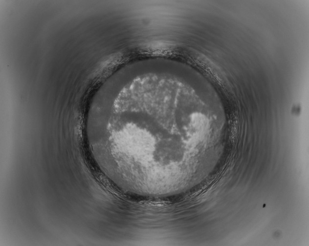 X0000099420643200805301408