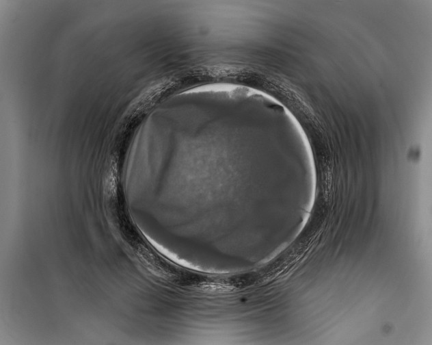 X0000099420644200805301408