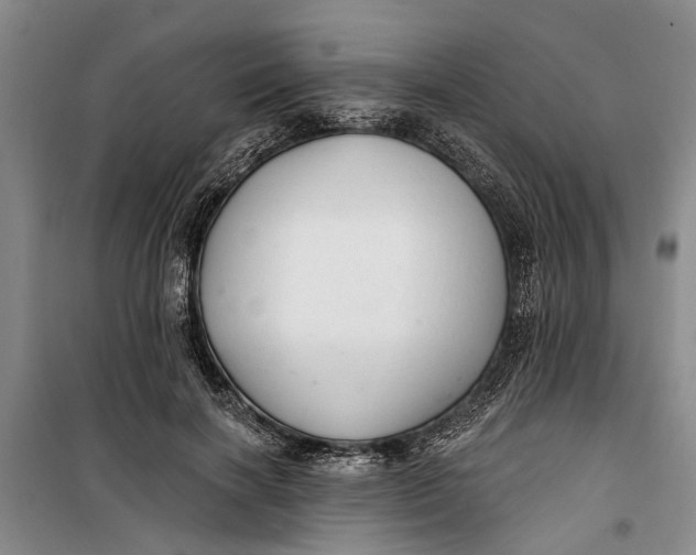 X0000099420646200805301408