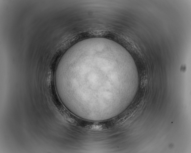 X0000099420647200805301408