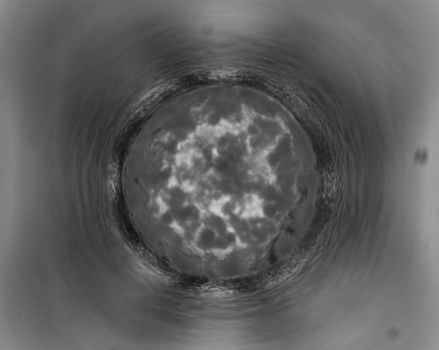 X0000099420648200805301408