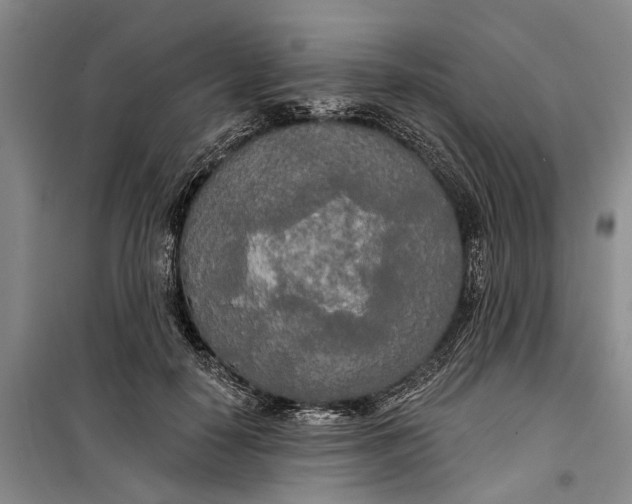 X0000099420650200805301408