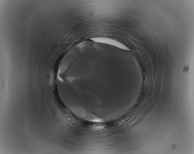 X0000099420651200805301408