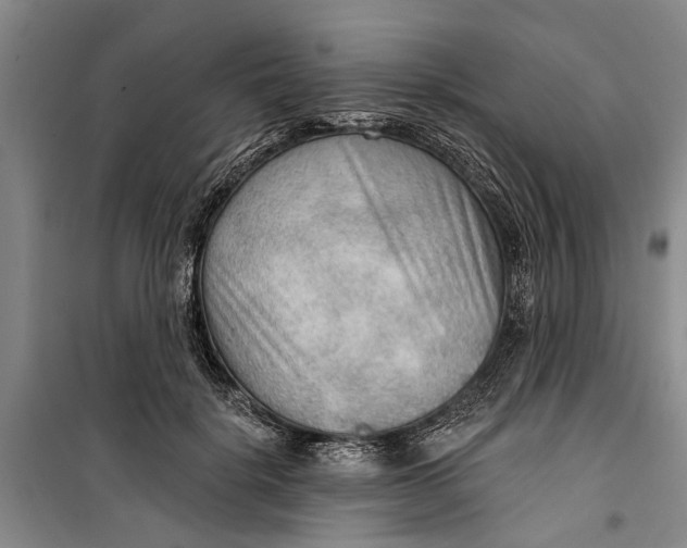 X0000099420652200805301408