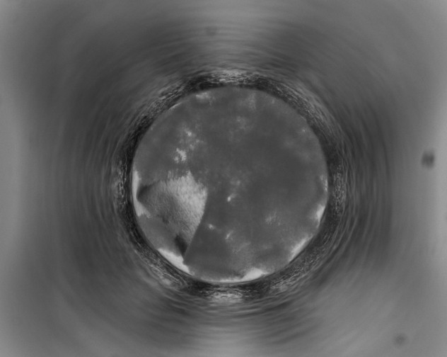 X0000099420653200805301408