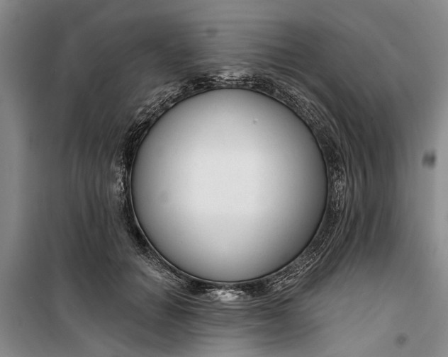 X0000099420654200805301408