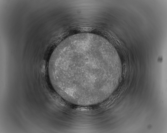 X0000099420655200805301408