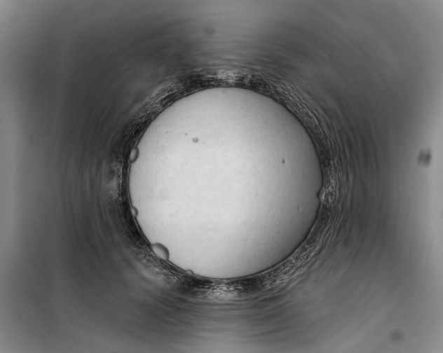 X0000099420656200805301408