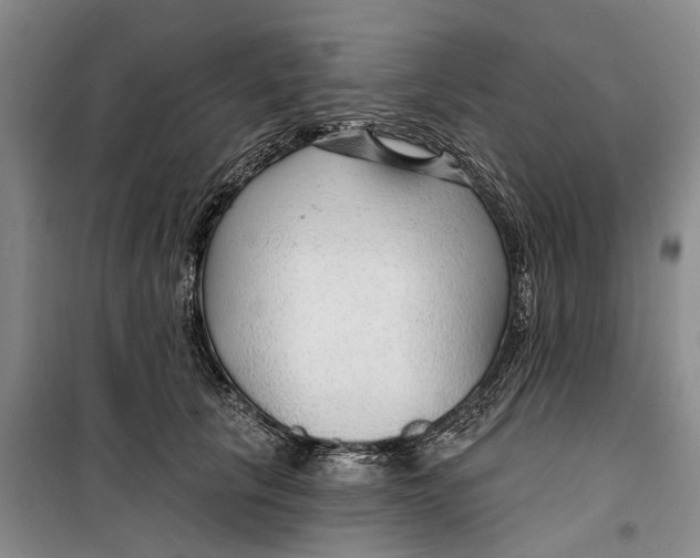 X0000099420657200805301408