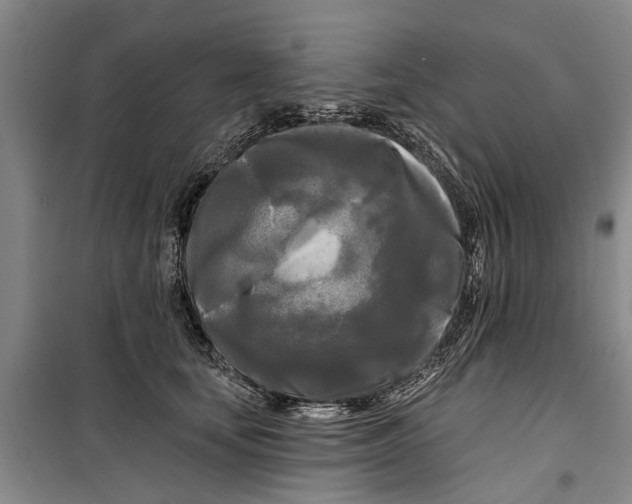 X0000099420659200805301408