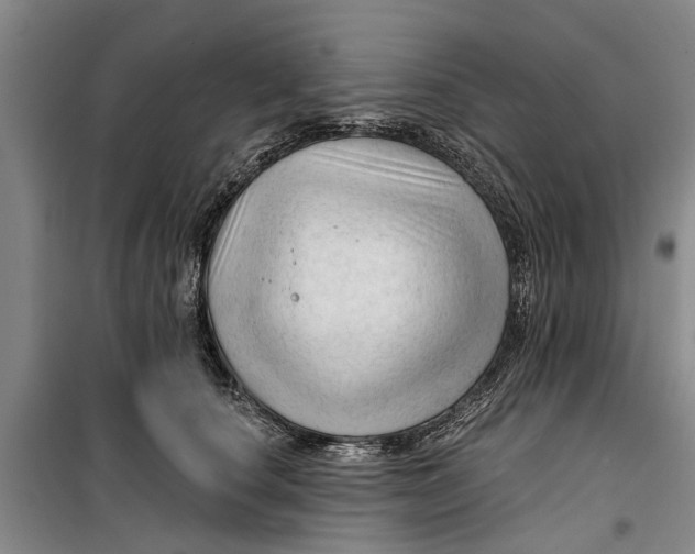 X0000099420660200805301408