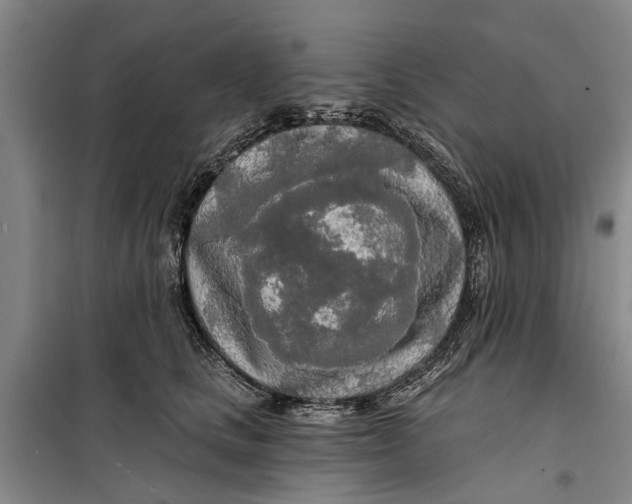 X0000099420661200805301408