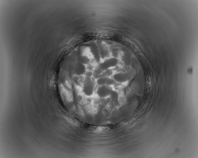 X0000099420663200805301408